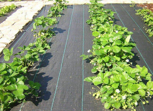 La Importancia de las Mallas Agrícolas en la Agricultura de Uruguay - Garden Market UY