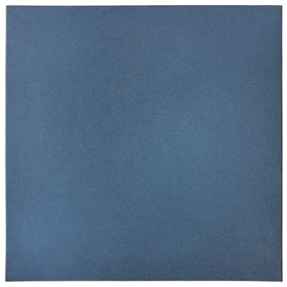Palmeta Caucho 50x50x2,5cm Azul - Garden Market UY